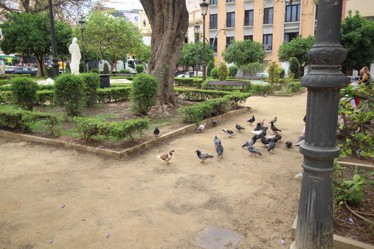Del Parque Flats Monkey 1 Apartman Málaga Kültér fotó